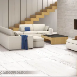 White-Body-Arena-White